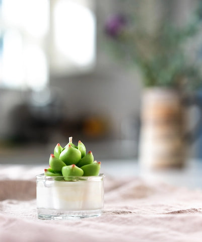 succulent tealight candle