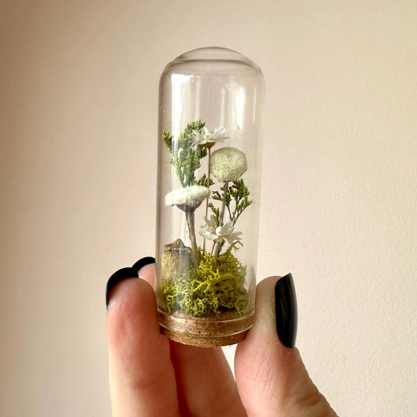 mini glass dried terrarium