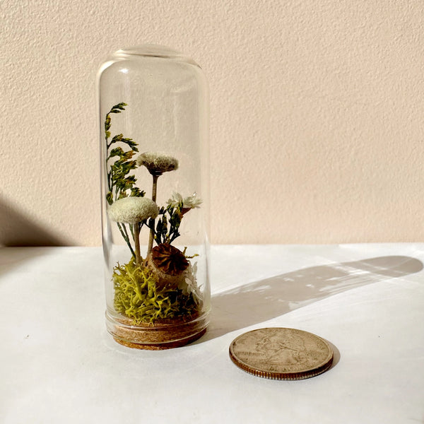 mini glass dried terrarium