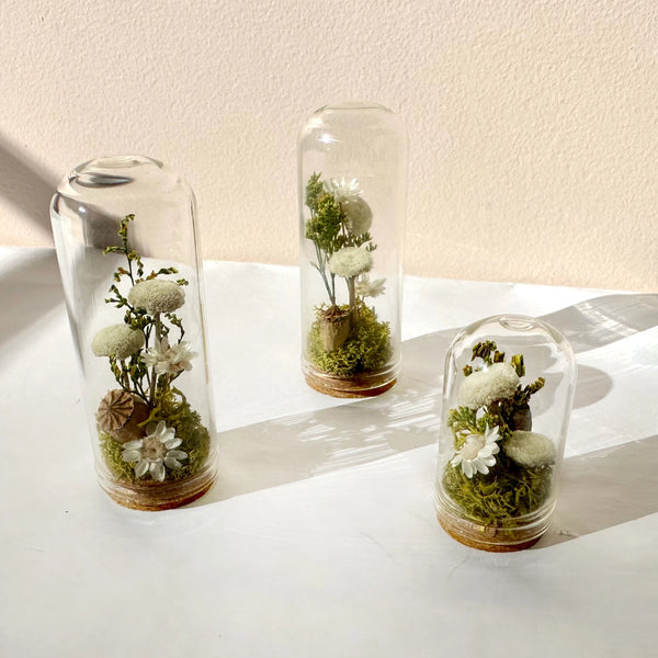 mini glass dried terrarium